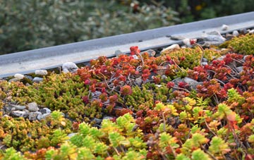the cost of Canton green roof installation