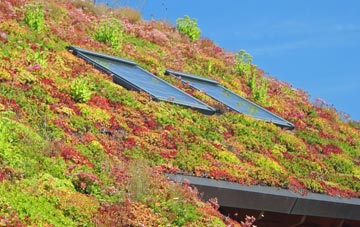 Canton living roof systems