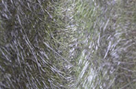 Canton fibreglass roof work